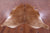 Light Brown Natural Cowhide Rug - XX-Large 8' 6"H x 7' 2"W