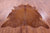Brown Natural Cowhide Rug - XX-Large 7' 9"H x 7' 2"W