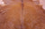 Brown Natural Cowhide Rug - XX-Large 7' 9"H x 7' 2"W