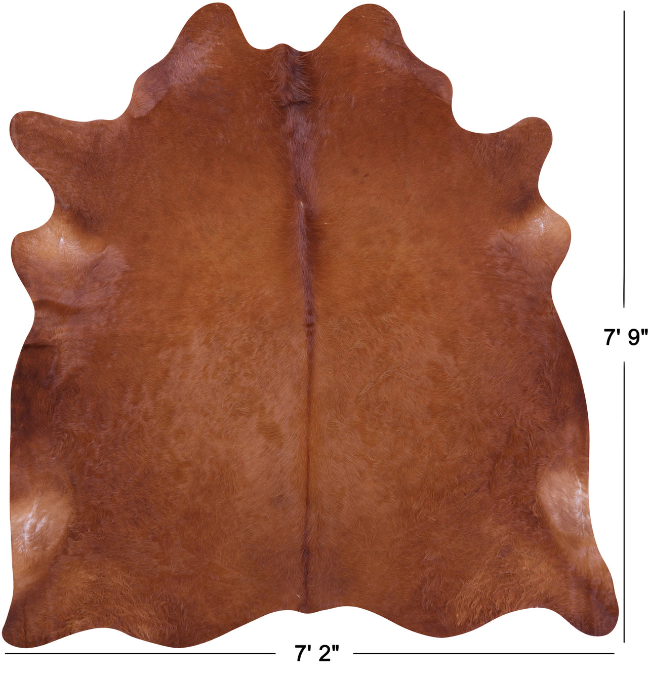 Brown Natural Cowhide Rug - XX-Large 7' 9"H x 7' 2"W