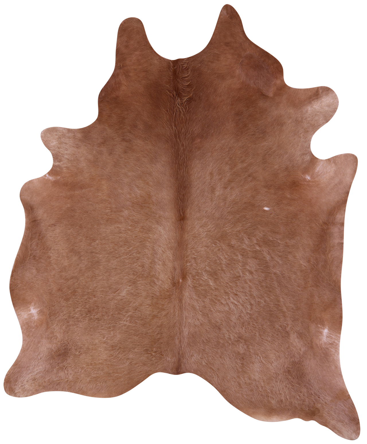 Light Brown Natural Cowhide Rug - XX-Large 8' 4"H x 7' 4"W