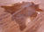 Brown Natural Cowhide Rug - XX-Large 7' 8"H x 7' 4"W