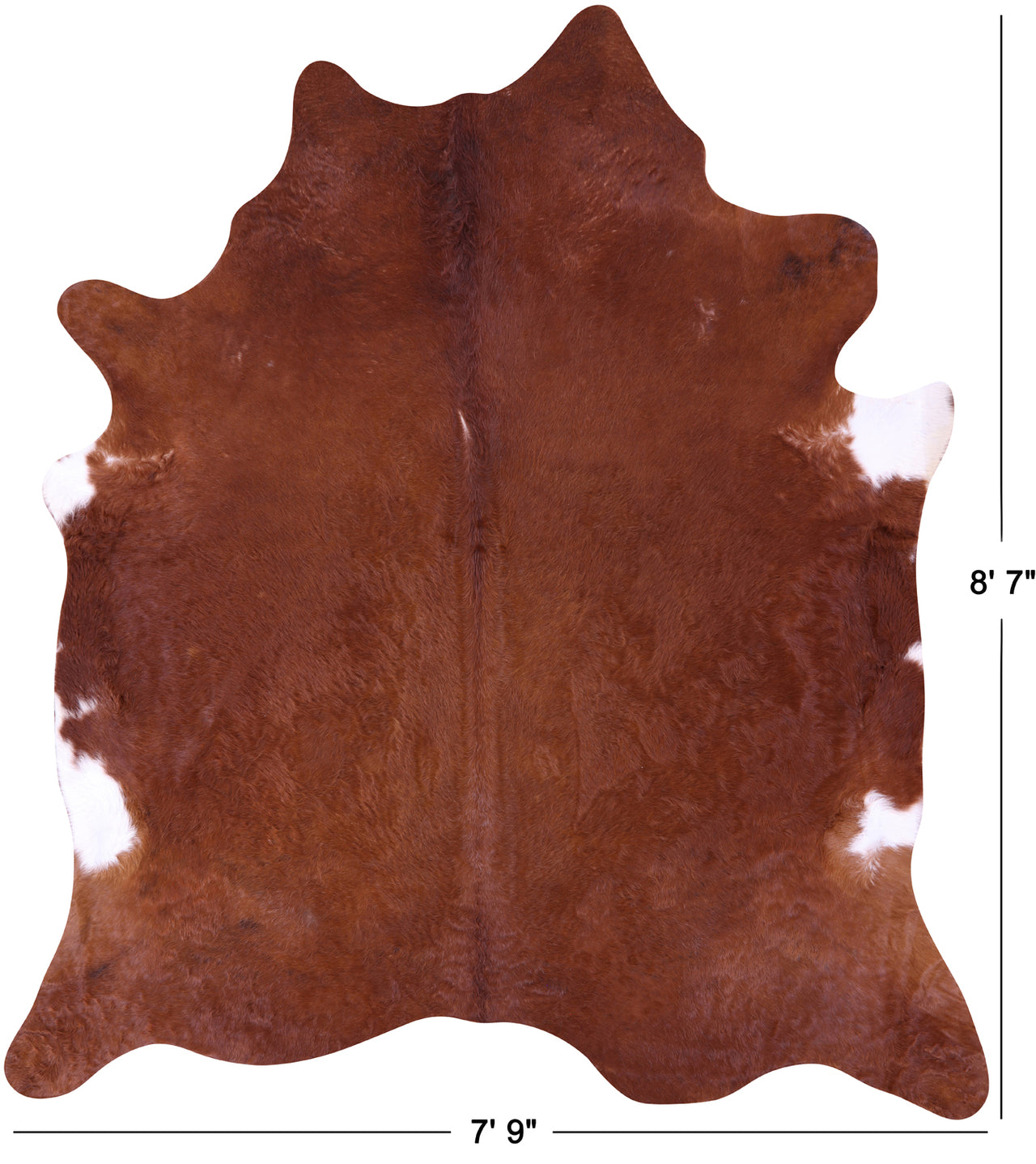 Brown Natural Cowhide Rug - XX-Large 8' 7"H x 7' 9"W