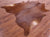 Brown Natural Cowhide Rug - X-Large 7' 5"H x 7' 0"W