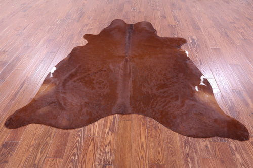 Brown Natural Cowhide Rug - Large 6' 10
