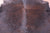 Dark Brown Natural Cowhide Rug - X-Large 7' 0"H x 6' 9"W