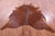 Brown Natural Cowhide Rug - XX-Large 7' 10"H x 6' 9"W