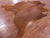 Brown Natural Cowhide Rug - XX-Large 8' 5"H x 7' 3"W