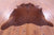 Brown Natural Cowhide Rug - X-Large 7' 6"H x 6' 9"W