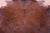 Brown Natural Cowhide Rug - X-Large 7' 6"H x 6' 9"W