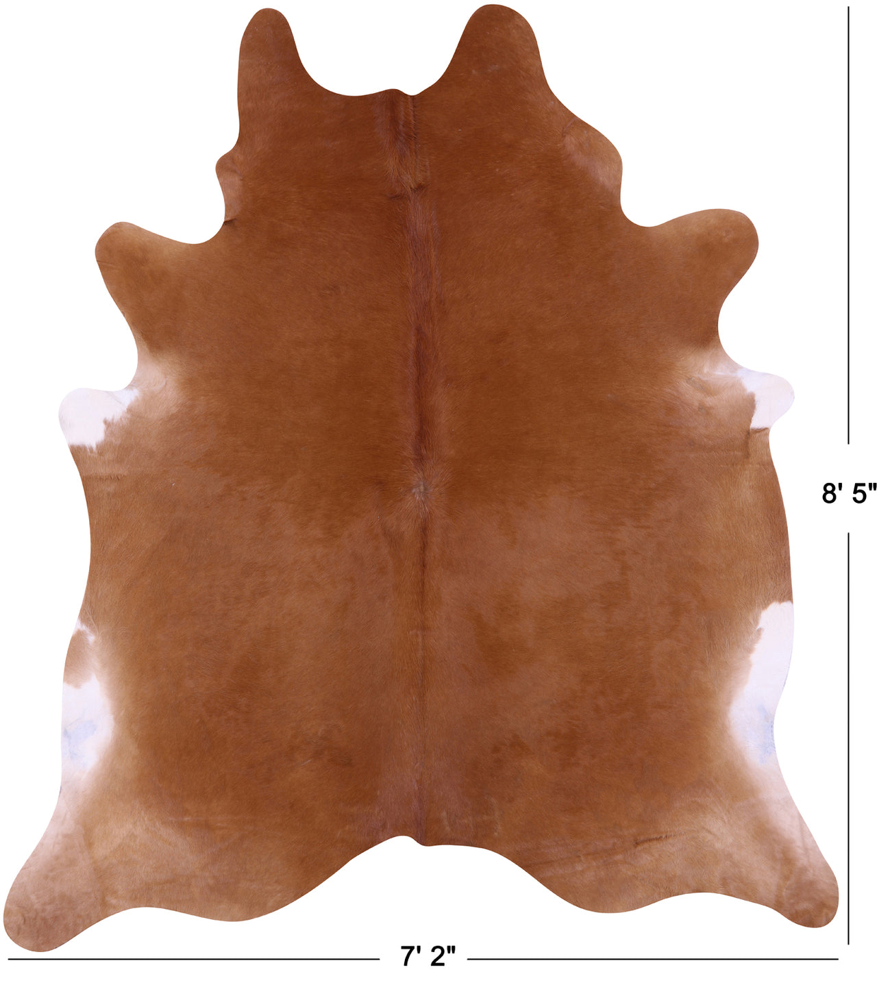 Light Brown Natural Cowhide Rug - XX-Large 8' 5"H x 7' 2"W