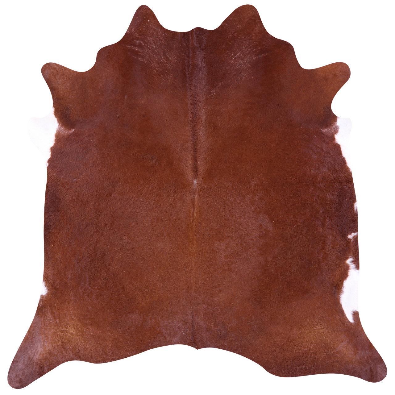 Brown Natural Cowhide Rug - X-Large 7' 6"H x 7' 4"W