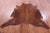 Brown Natural Cowhide Rug - X-Large 7' 2"H x 6' 6"W