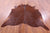 Brown Natural Cowhide Rug - Large 6' 9"H x 6' 4"W