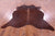 Brown Natural Cowhide Rug - X-Large 7' 1"H x 7' 0"W