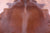 Brown Natural Cowhide Rug - XX-Large 7' 10"H x 7' 0"W