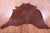 Brown Natural Cowhide Rug - X-Large 7' 1"H x 6' 6"W