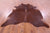 Brown Natural Cowhide Rug - X-Large 7' 5"H x 6' 10"W