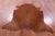 Brown Natural Cowhide Rug - Large 6' 9"H x 6' 0"W