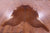 Brown Natural Cowhide Rug - X-Large 7' 3"H x 6' 10"W