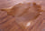 Brown Natural Cowhide Rug - X-Large 7' 5"H x 5' 9"W