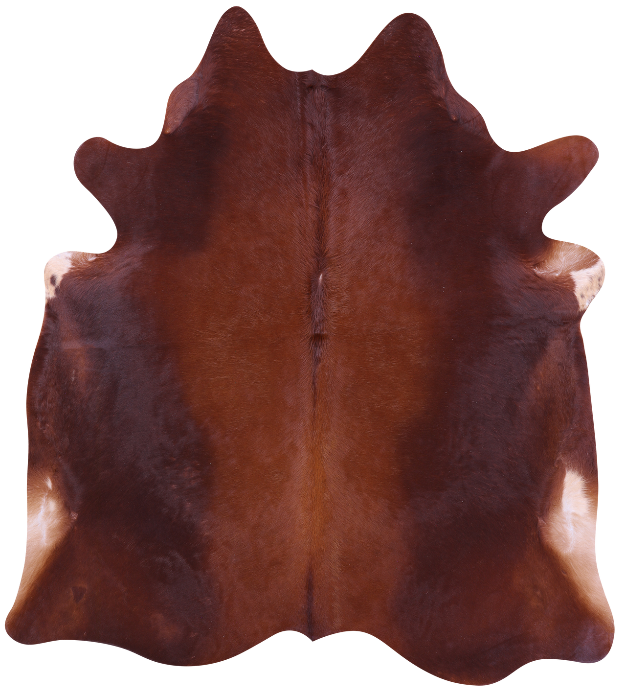 Brown Natural Cowhide Rug - X-Large 7' 0"H x 6' 2"W