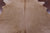 Light Brown Natural Cowhide Rug - XX-Large 7' 9"H x 6' 10"W