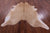 Light Brown Natural Cowhide Rug - X-Large 7' 6"H x 6' 7"W