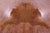 Brown Natural Cowhide Rug - XX-Large 8' 0"H x 7' 0"W