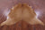Light Brown Natural Cowhide Rug - XX-Large 8' 2"H x 6' 10"W