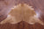 Light Brown Natural Cowhide Rug - XX-Large 8' 0"H x 7' 2"W