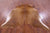 Brown Natural Cowhide Rug - X-Large 7' 3"H x 6' 4"W