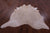 Beige Natural Cowhide Rug - XX-Large 8' 2"H x 7' 0"W