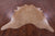 Light Brown Natural Cowhide Rug - XX-Large 8' 3"H x 7' 4"W