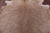 Beige Natural Cowhide Rug - X-Large 7' 5"H x 6' 10"W