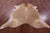Light Brown Natural Cowhide Rug - X-Large 7' 0"H x 6' 7"W