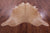 Light Brown Natural Cowhide Rug - XX-Large 8' 2"H x 7' 5"W