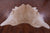Beige Natural Cowhide Rug - XX-Large 7' 8"H x 7' 2"W