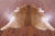 Brown Natural Cowhide Rug - X-Large 7' 0"H x 6' 6"W