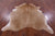 Light Brown Natural Cowhide Rug - X-Large 7' 4"H x 5' 10"W