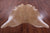 Light Brown Natural Cowhide Rug - XX-Large 7' 9"H x 7' 0"W
