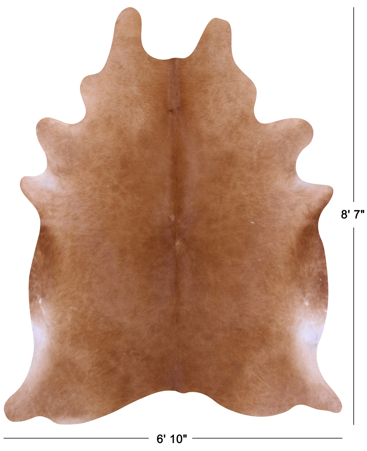 Brown Natural Cowhide Rug - XX-Large 8' 7"H x 6' 10"W