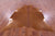 Brown Natural Cowhide Rug - XX-Large 7' 8"H x 6' 7"W