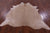 Beige Natural Cowhide Rug - X-Large 7' 4"H x 6' 6"W
