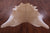 Light Brown Natural Cowhide Rug - XX-Large 8' 1"H x 7' 0"W