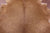Light Brown Natural Cowhide Rug - X-Large 7' 6"H x 7' 0"W