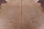 Light Brown Natural Cowhide Rug - XX-Large 7' 9"H x 6' 6"W