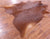 Brown Natural Cowhide Rug - X-Large 7' 3"H x 6' 6"W