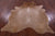 Light Brown Natural Cowhide Rug - X-Large 7' 6"H x 6' 0"W