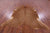 Brown Natural Cowhide Rug - X-Large 7' 5"H x 7' 2"W